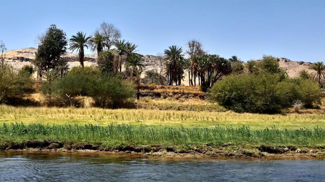 Habibi Nubian Guest House-Nubian Hospitality Aswan Bagian luar foto