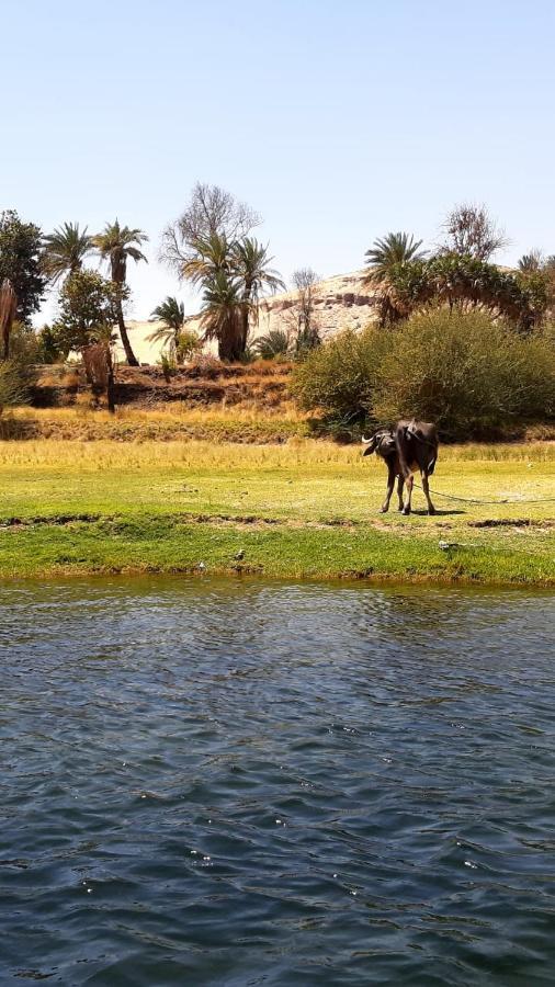 Habibi Nubian Guest House-Nubian Hospitality Aswan Bagian luar foto